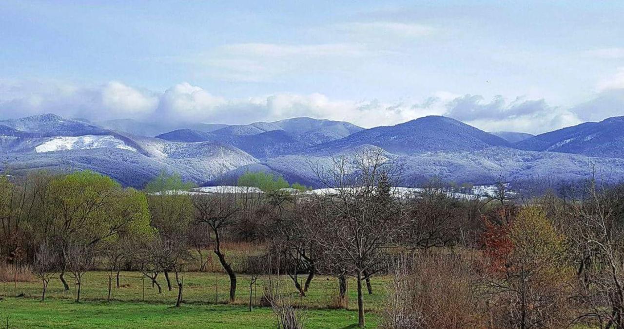 Pensiunea Casa Moga Bucium  Екстер'єр фото